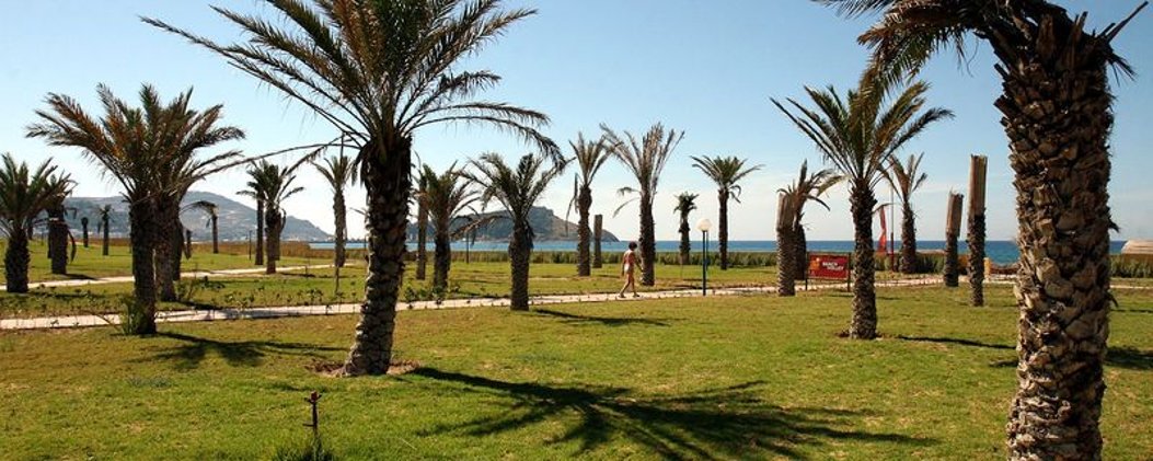 General view