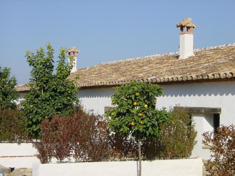 General view