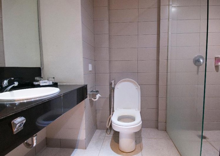 Double or Twin SUPERIOR Room