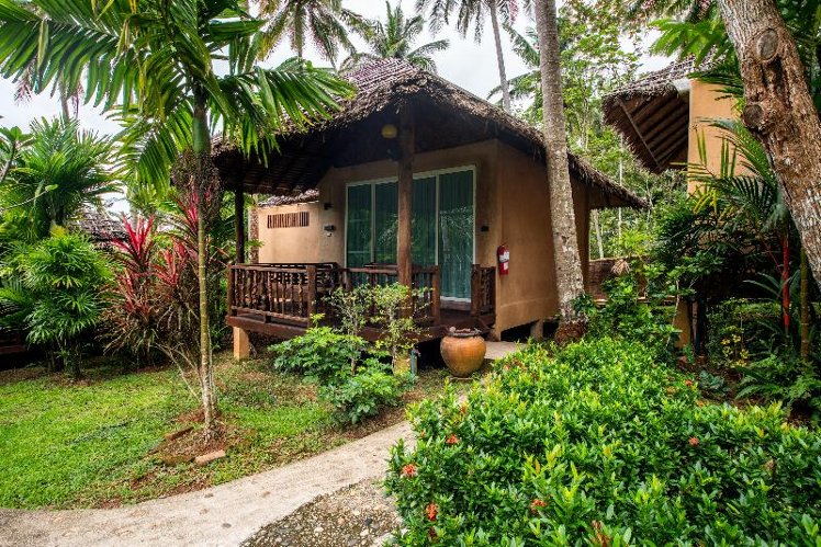DOUBLE DELUXE Room
