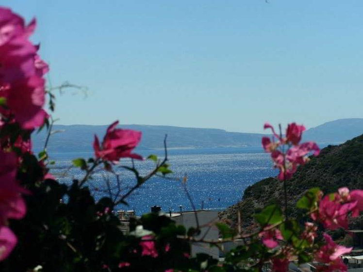Holiday image