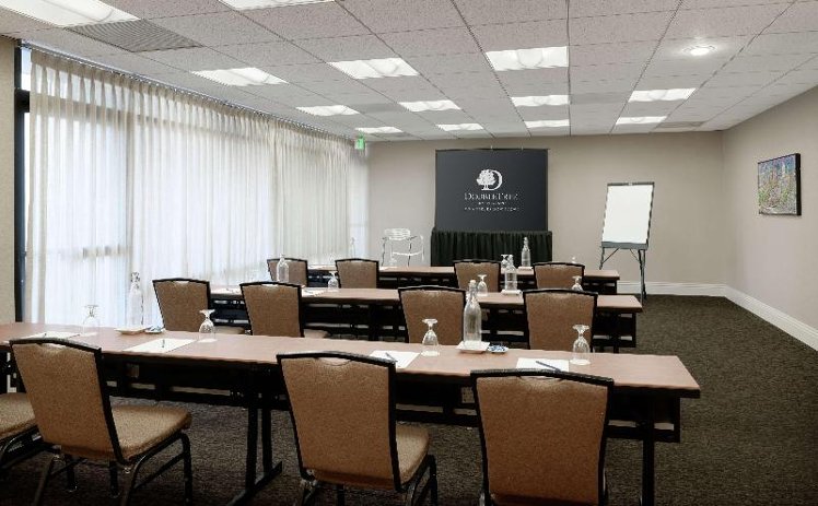 Conferences