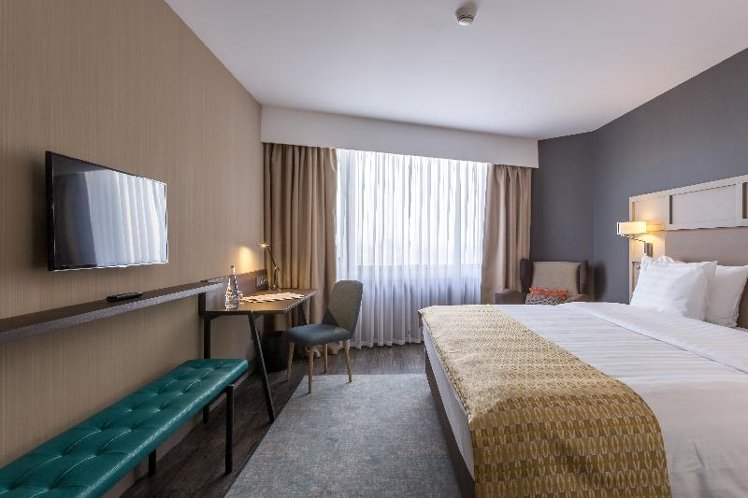 SUITE EXECUTIVE KING BED Room