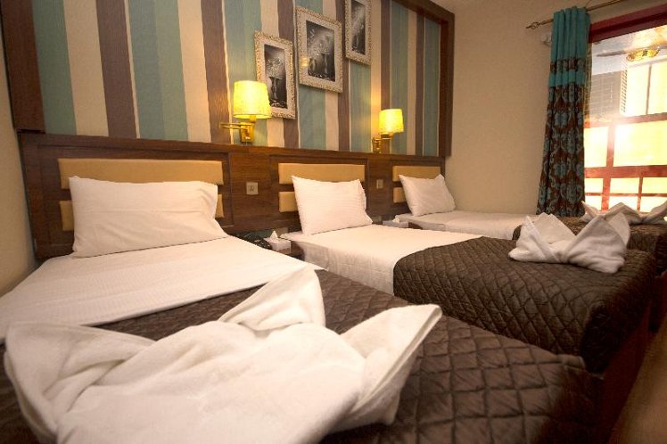 TRIPLE DELUXE Room