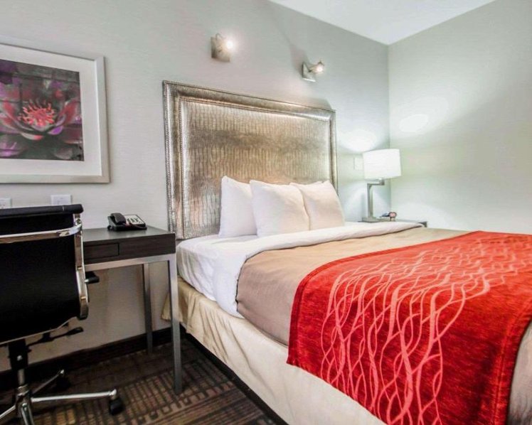 DOUBLE QUEEN SIZE BED Room
