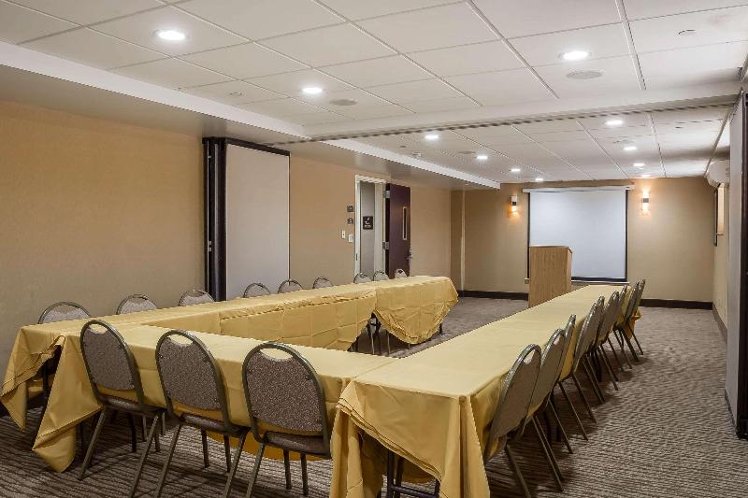Conferences