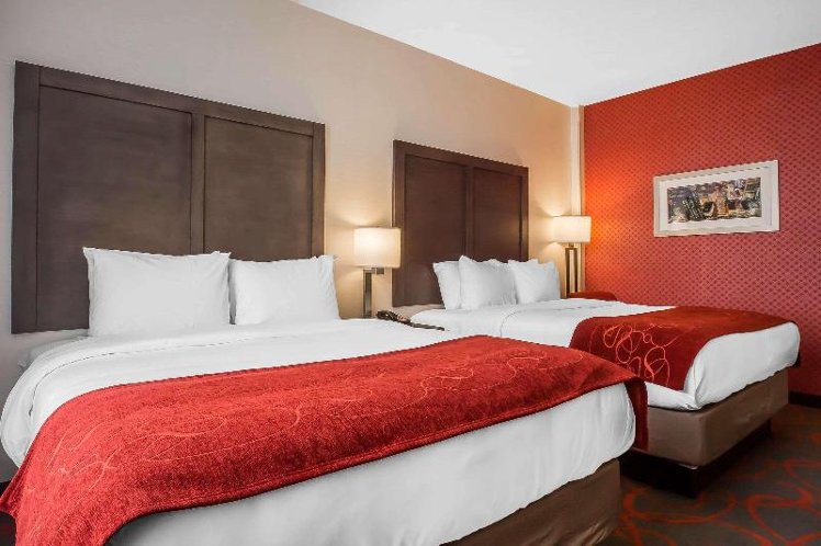 DOUBLE TWO QUEEN BEDS Room