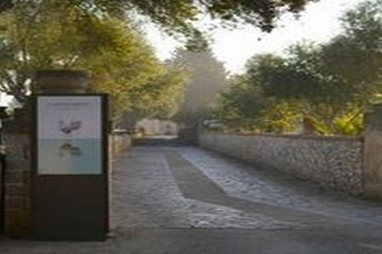 General view