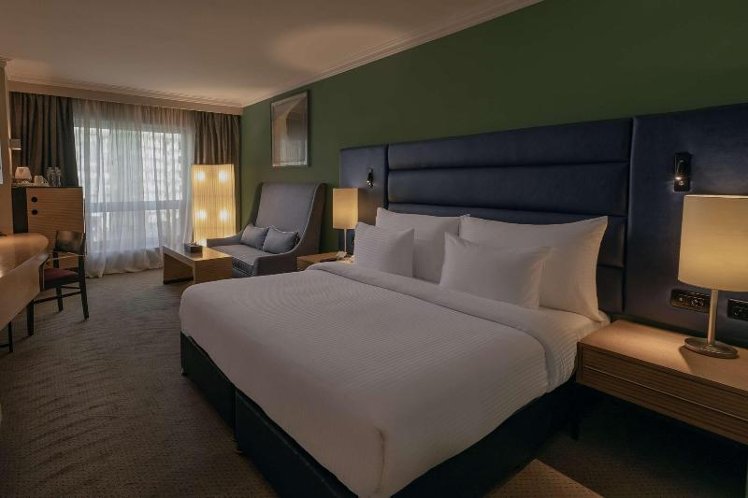 DOUBLE EXECUTIVE KING BED Room