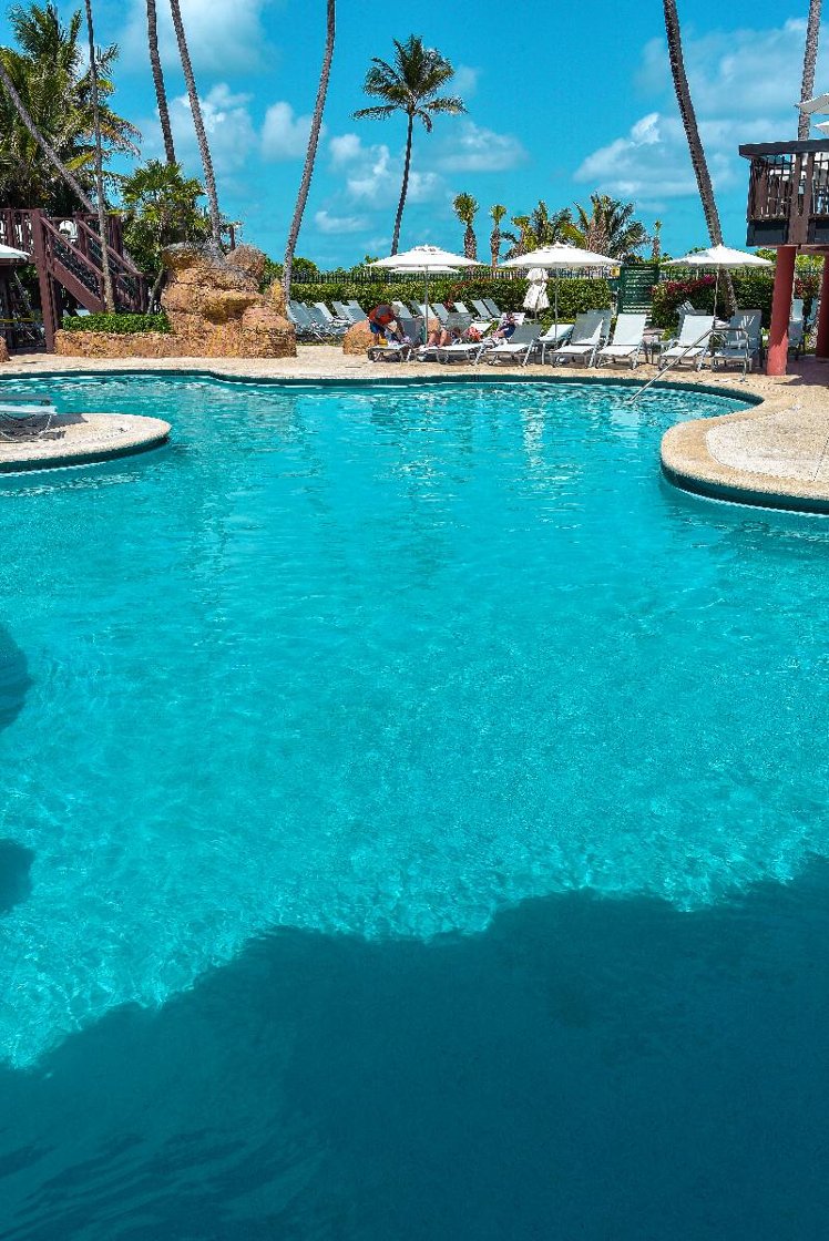 The Alexander All Suite Ocean Front Resort