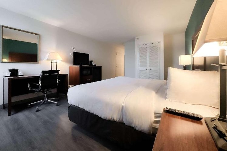 DOUBLE KING SIZE BED Room