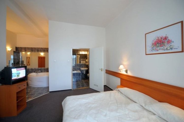 TRIPLE STANDARD Room