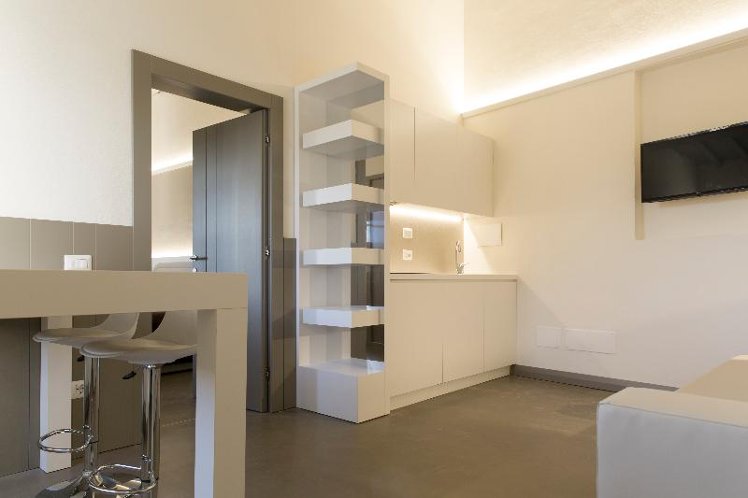 APARTMENT DELUXE ONE BEDROOM Room