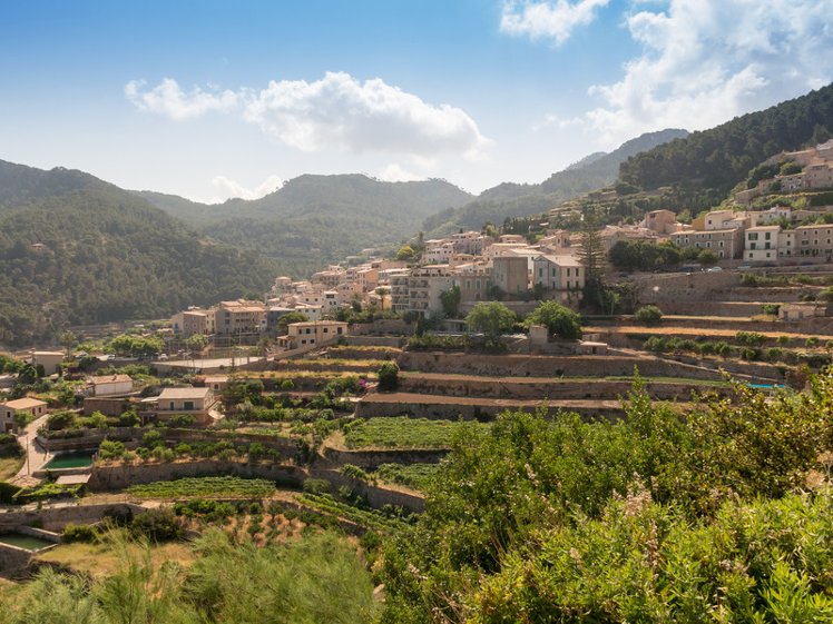 General view