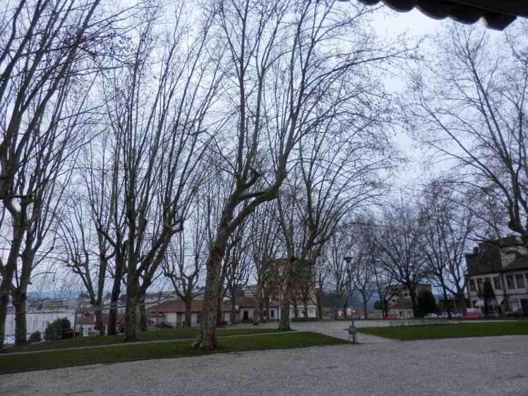 General view