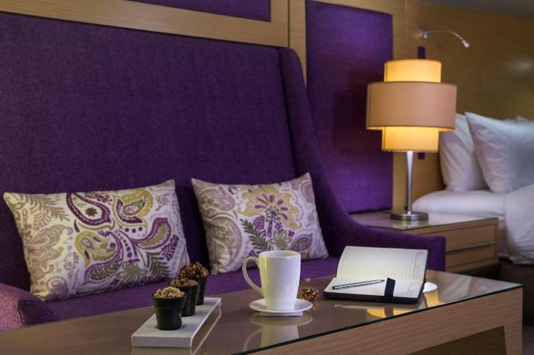 DOUBLE EXECUTIVE KING BED Room