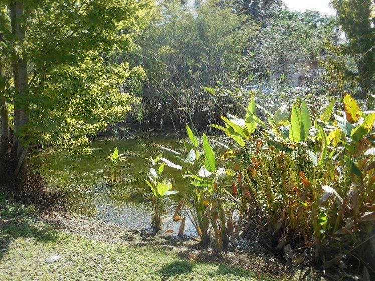 General view