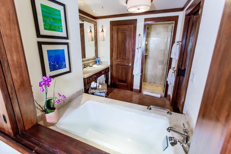 Room DELUXE POOL VIEW Room