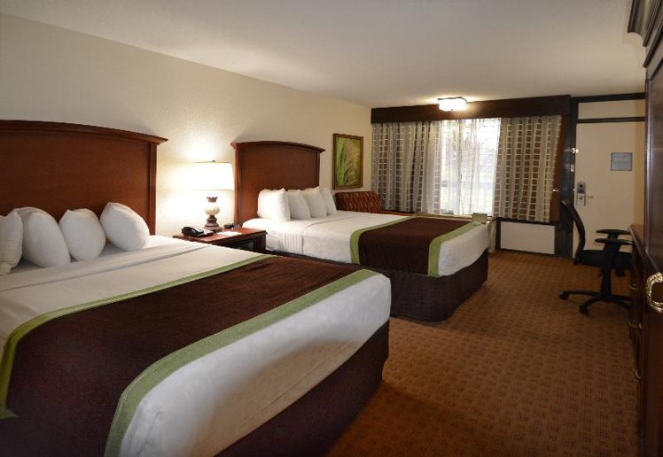 DOUBLE TWO DOUBLE BEDS Room