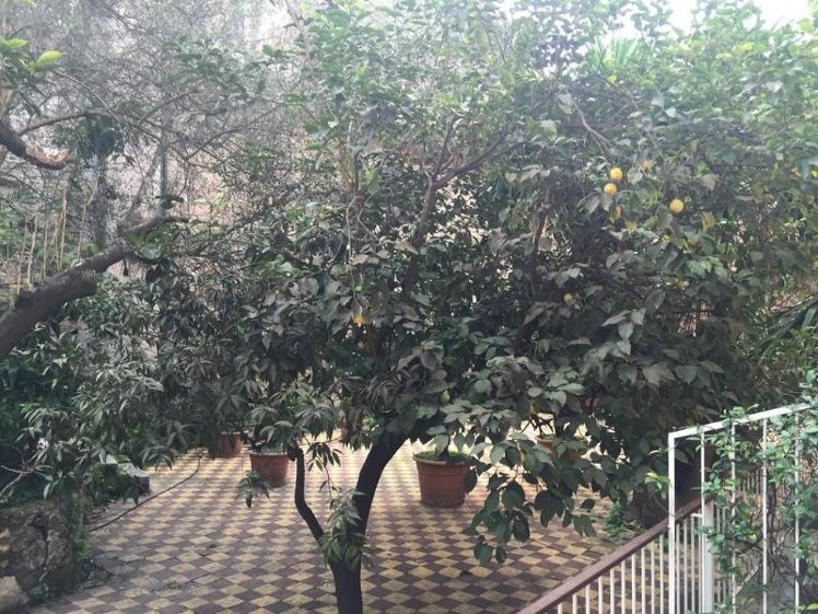 General view