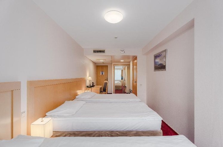 TRIPLE STANDARD Room