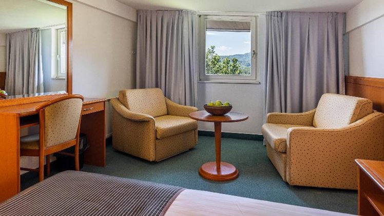 DOUBLE STANDARD Room