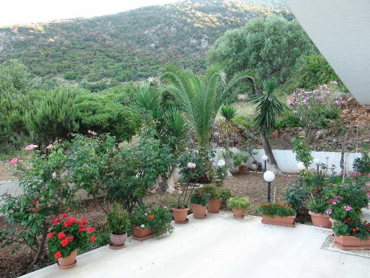 General view