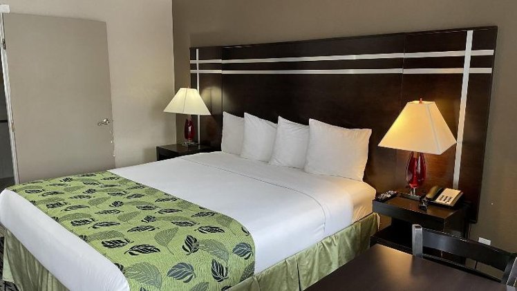 DOUBLE Accessible KING SIZE BED Room
