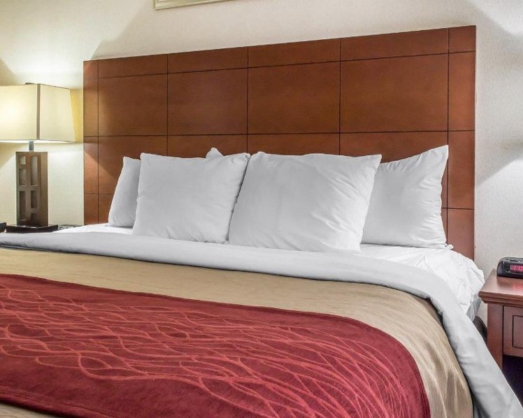 DOUBLE CAPACITY 2 Room