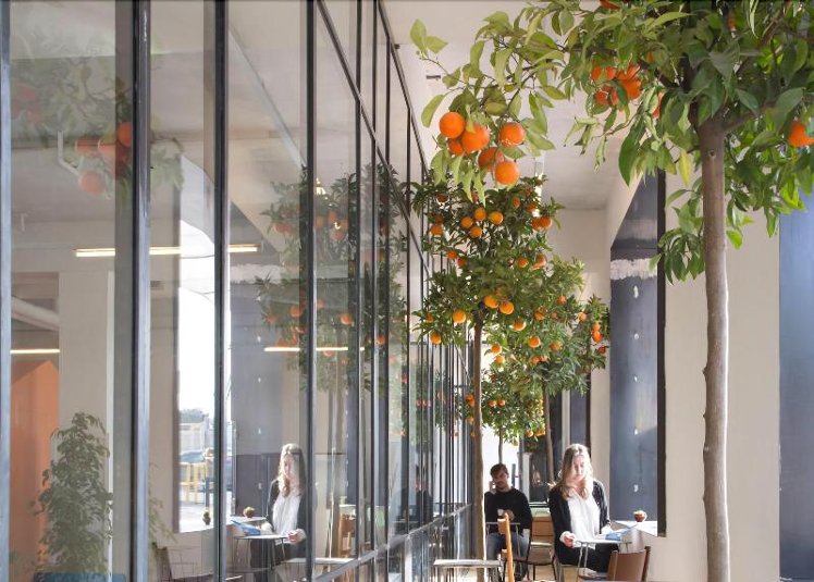 Terrace
