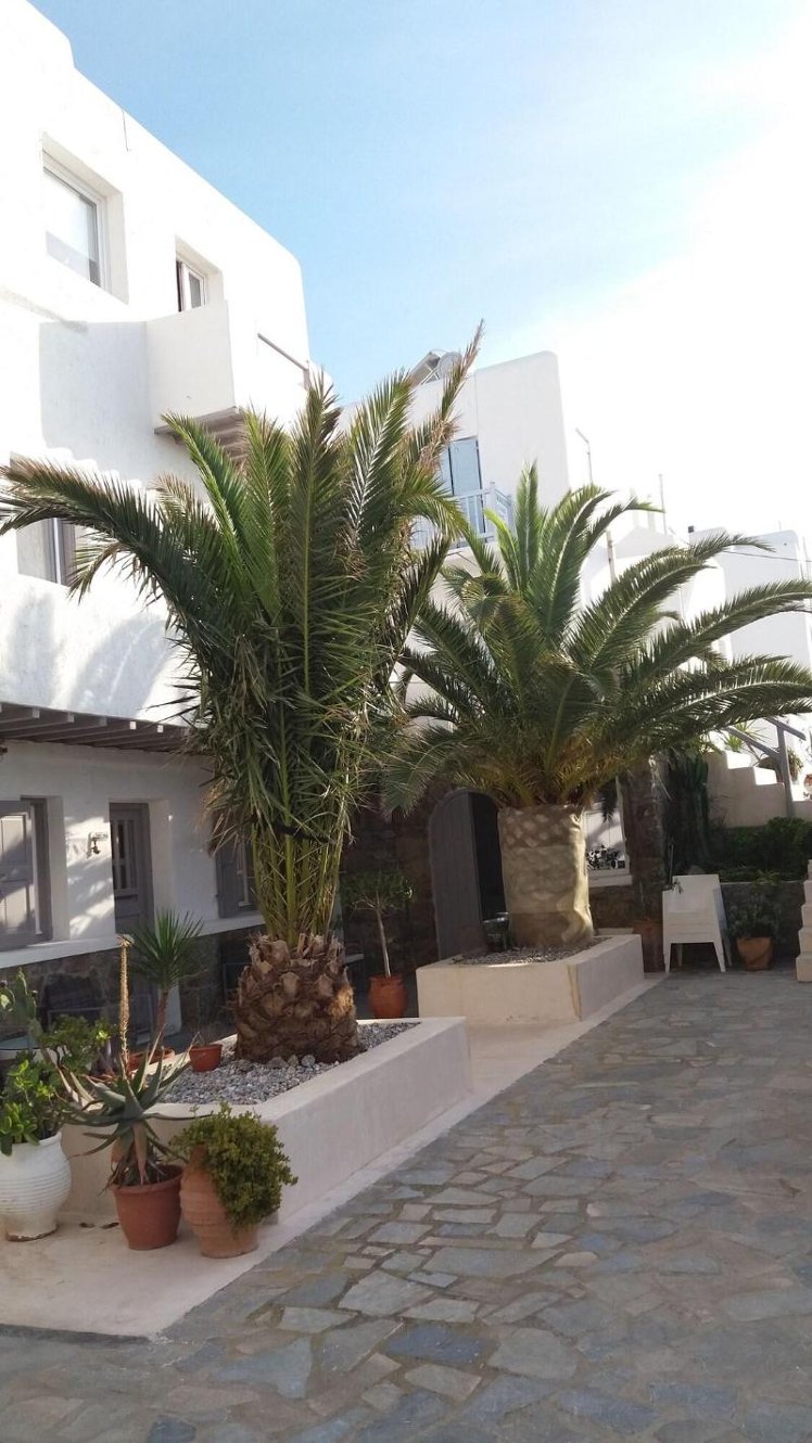 General view