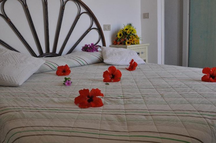 APARTMENT CAPACITY 4 Room