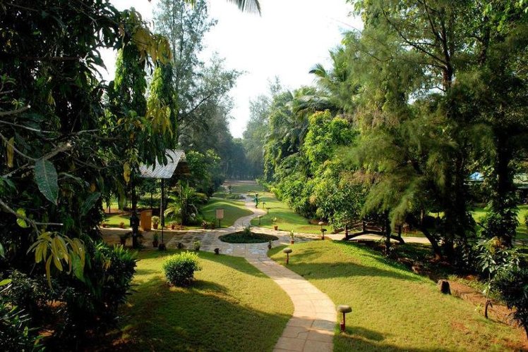 General view