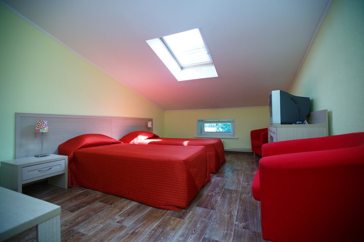 TWIN ECONOMY Room