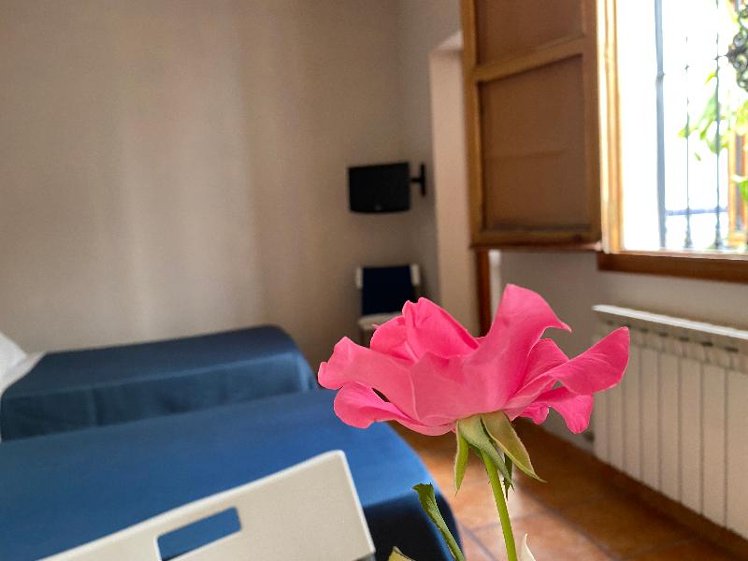 TWIN STANDARD Room