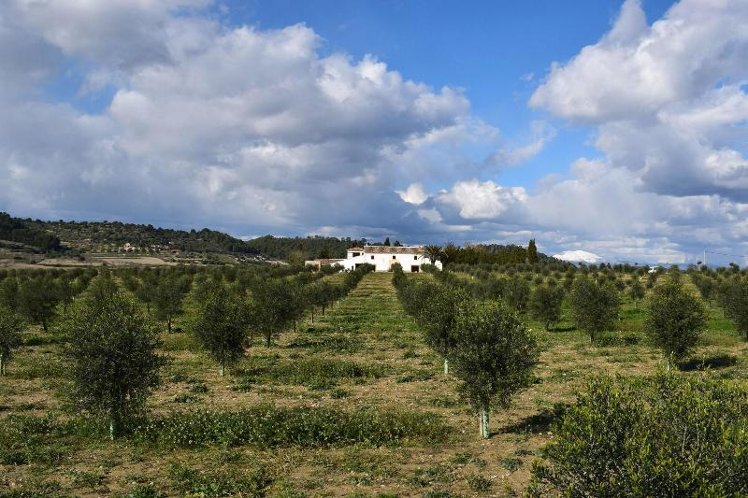 General view
