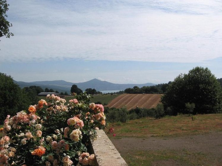 General view