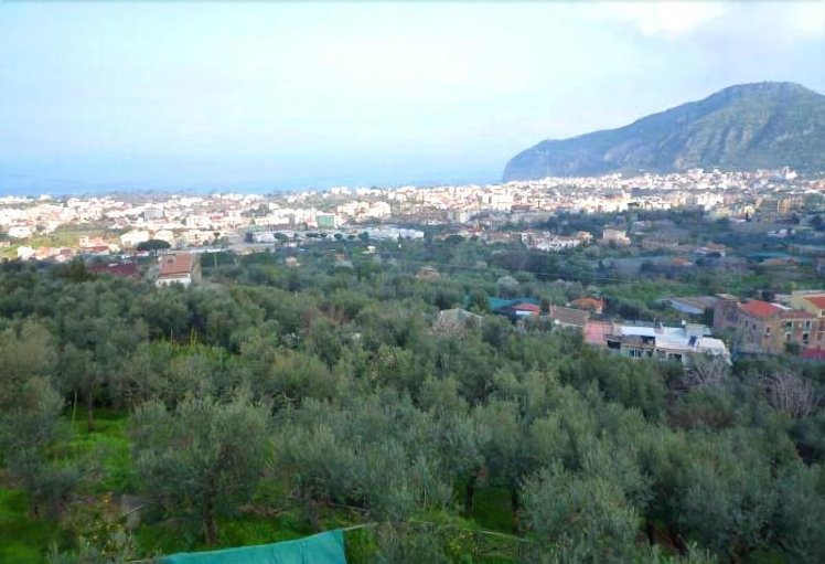 General view