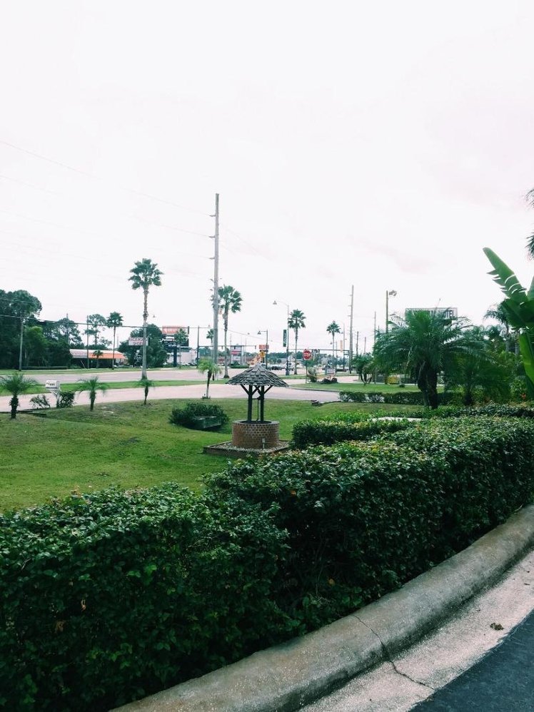 General view