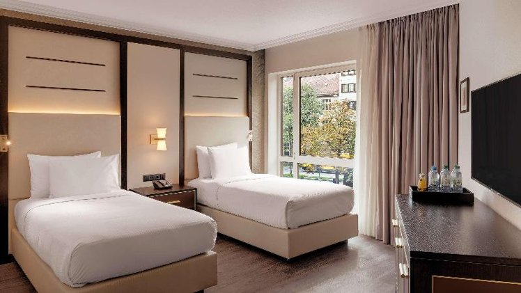 Double or Twin Accessible Room