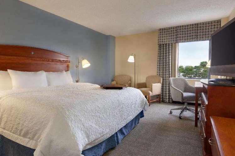 Room STANDARD Room