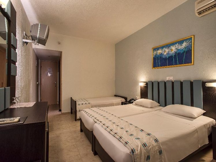Double or Twin MOUNTAIN VIEW Room