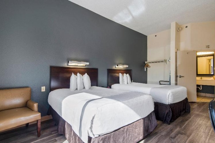 QUADRUPLE Accessible Two Double beds Room