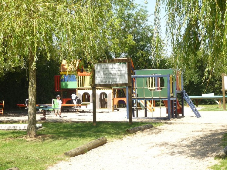 Slide image