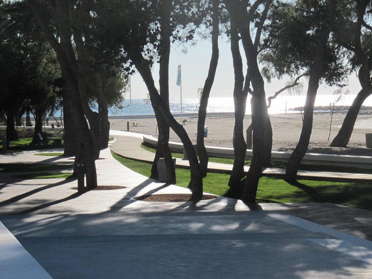 Holiday image