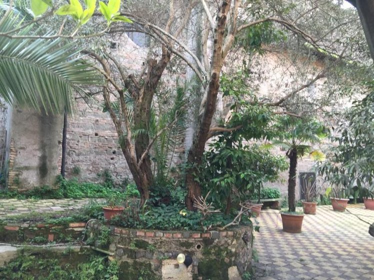 General view