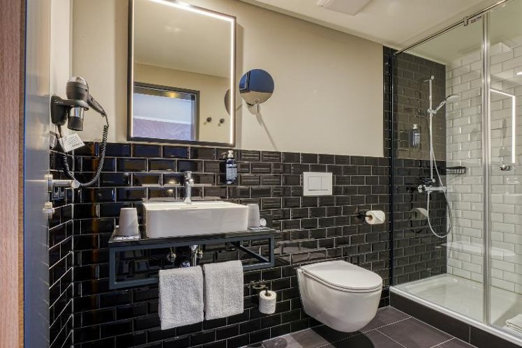 DOUBLE SINGLE USE STANDARD Room