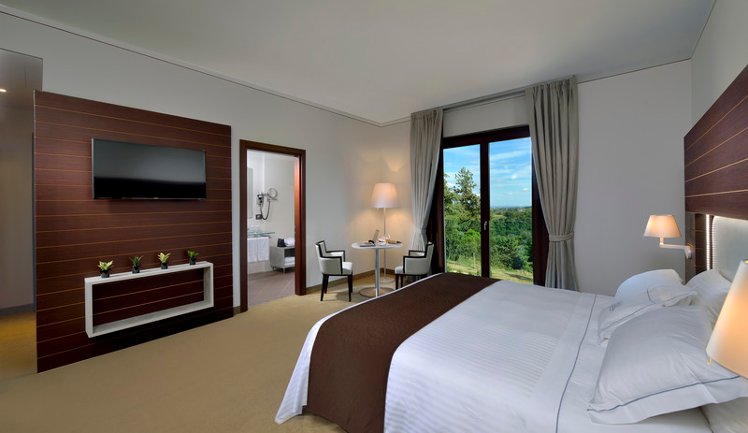 Double or Twin DELUXE Room