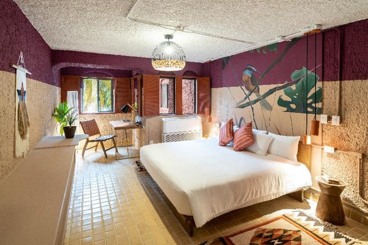 SUITE PREMIUM Room