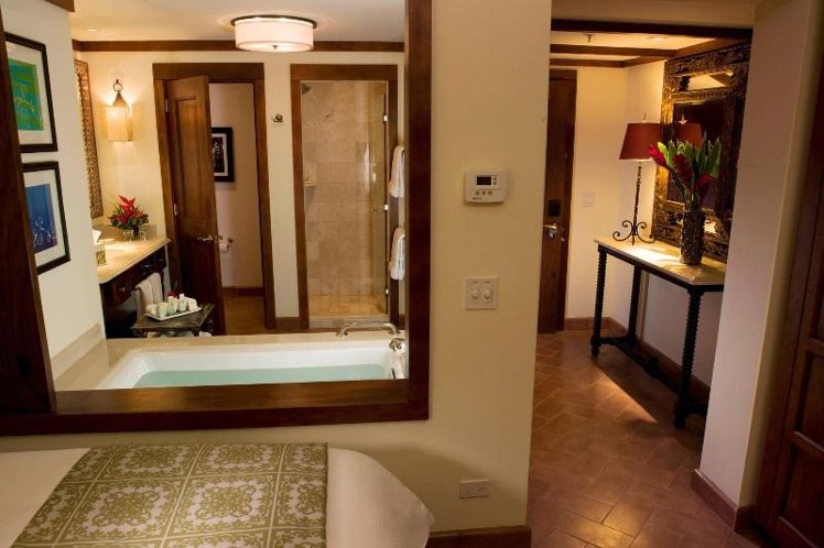 Room DELUXE OCEAN VIEW Room